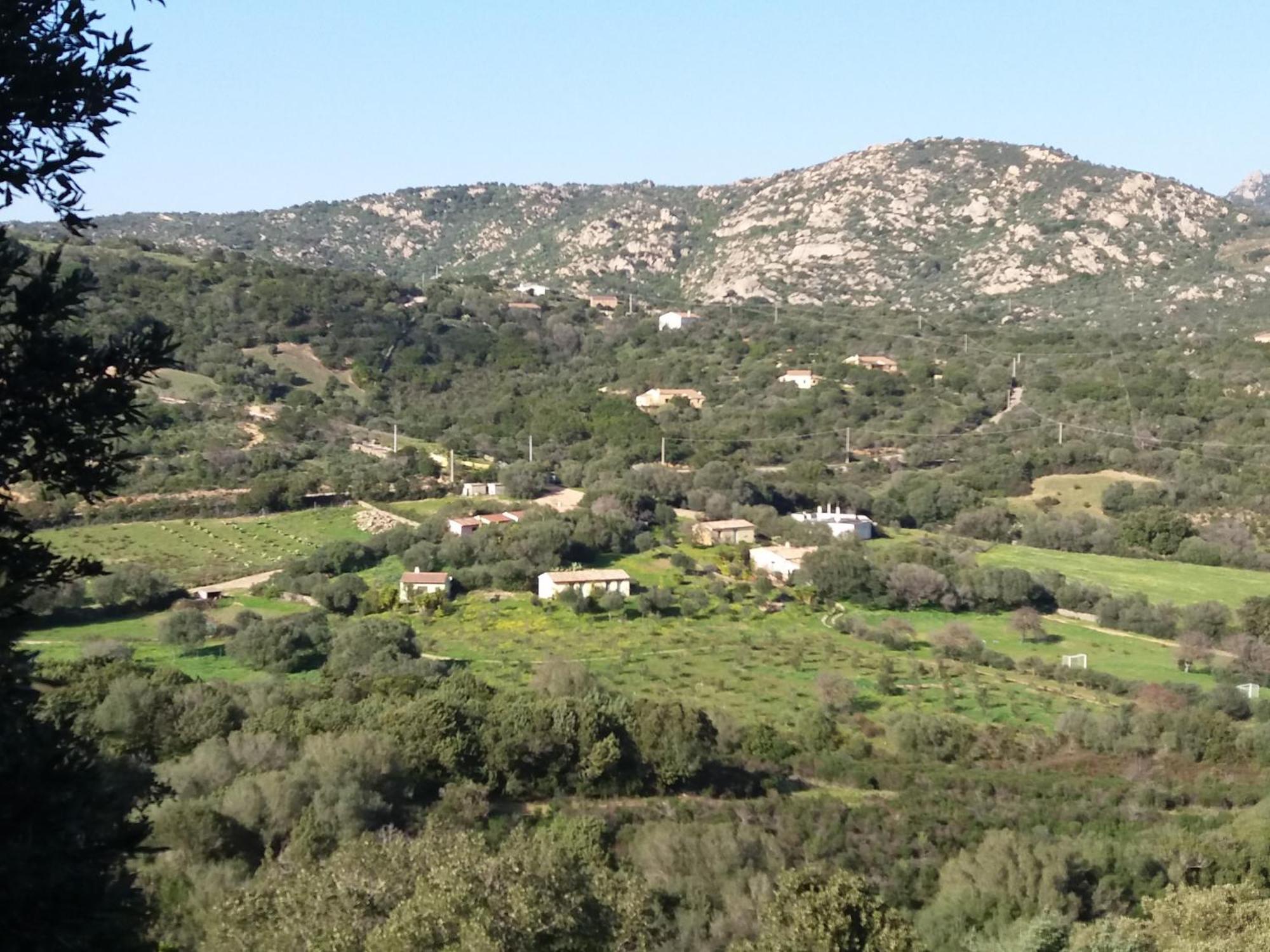 Agriturismo Agrisole Olbia Exterior foto
